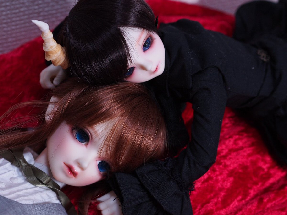 ドールの種類を晒して仲間を探す