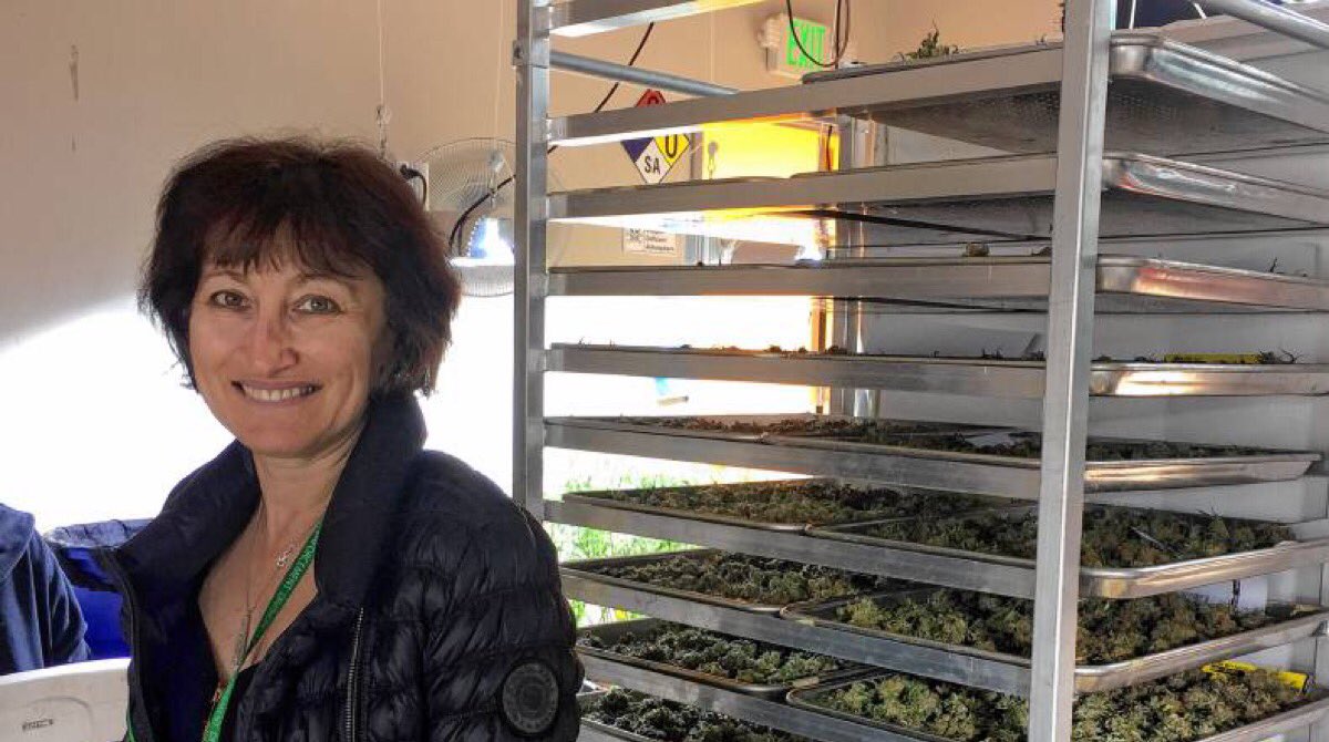 5280EAE's tweet photo. Rita Tsalyuk, Co-Owner of The Coffee Joint | Speaks with Colorado Matters host Ryan Warner https://t.co/Bl2QFrBVdC @5280Edibles @cprwarner https://t.co/0QnPprZB3m