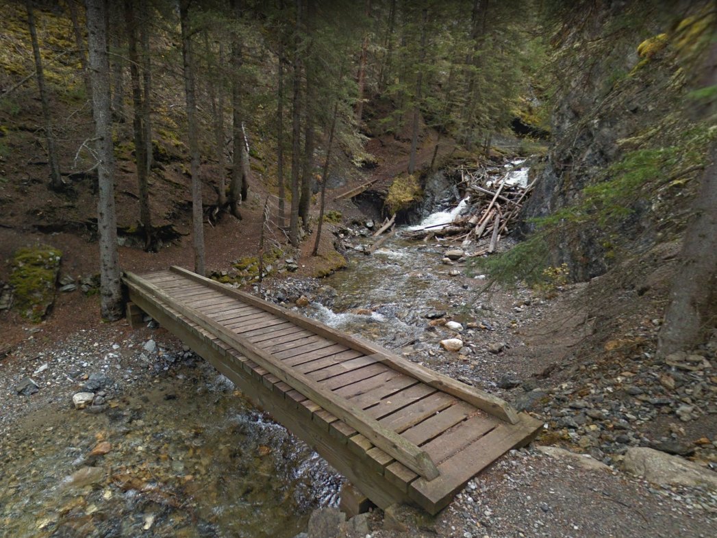 iRunMaps's tweet image. Over the river and through the Banff National Park for exquisite views along this forest hike 2.8 miles ow.ly/NSe250hCYEJ