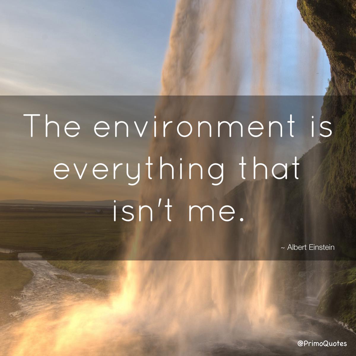 PrimoQuotes's tweet photo. #quote #quotes #famousquotes #AlbertEinsteinQuotes #EnvironmentalQuotes   

 https://t.co/zoryaNHt53 https://t.co/Anbt8Tk4uw