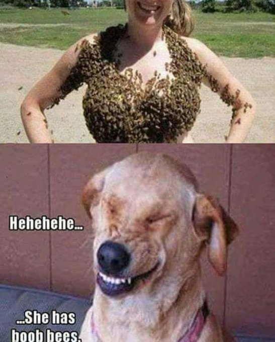 Lol https://t.co/4NI3gCFEih<a href="/tag/hanukkah"class="tags"><span>#hanukkah</span></a><a href="/tag/chanukah"class="tags"><span>#chanukah</span></a>