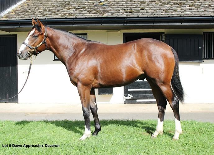 wickhamwicks's tweet image. Well done to connections of Haddaf winner in the first @Sandownpark of a Listed race. Hillwood Stud prepped &amp;amp; consigned to @Tattersalls1766 #multiplewinner #Salesarejustaroundthecorner!