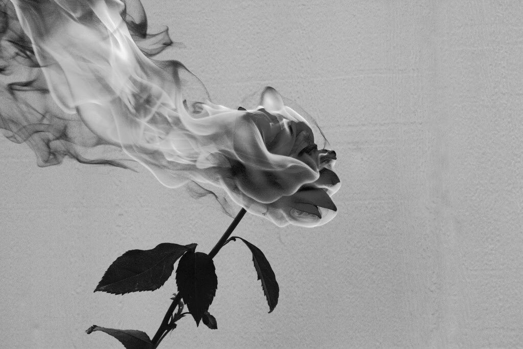 DanielFrpg's tweet photo. « 𝑻𝒉𝒆𝒏 𝒐𝒏𝒆 𝒏𝒊𝒈𝒉𝒕, 𝒂𝒔 𝑰 𝒄𝒍𝒐𝒔𝒆𝒅 𝒎𝒚 𝒆𝒚𝒆𝒔,
𝑰 𝒔𝒂𝒘 𝒂 𝒔𝒉𝒂𝒅𝒐𝒘 𝒇𝒍𝒚𝒊𝒏𝒈 𝒉𝒊𝒈𝒉
𝑯𝒆 𝒄𝒂𝒎𝒆 𝒕𝒐 𝒎𝒆 𝒘𝒊𝒕𝒉 𝒕𝒉𝒆 𝒔𝒘𝒆𝒆𝒕𝒆𝒔𝒕 𝒔𝒎𝒊𝒍𝒆
𝑻𝒐𝒍𝒅 𝒎𝒆 𝒉𝒆 𝒘𝒂𝒏𝒕𝒆𝒅 𝒕𝒐 𝒕𝒂𝒍𝒌 𝒇𝒐𝒓 𝒂 𝒘𝒉𝒊𝒍𝒆 » https://t.co/owzsEGIrFj