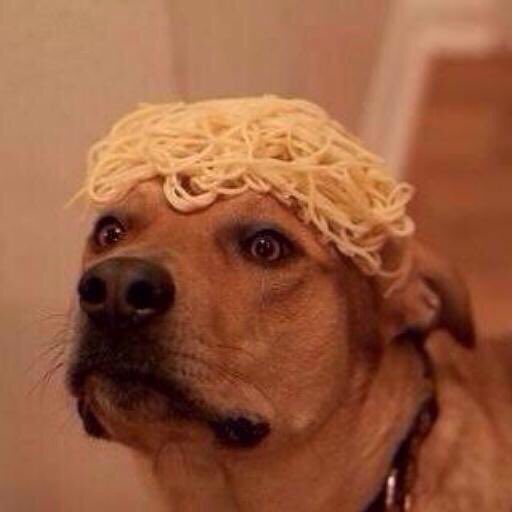 Llourinho tweet media