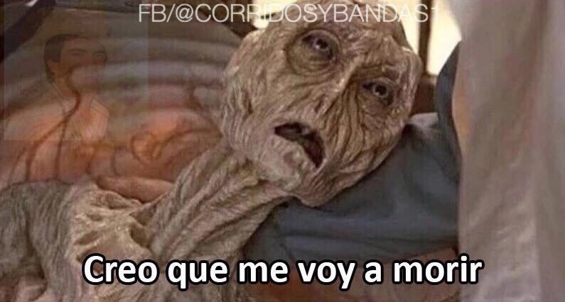 David Torres On Twitter Ponte Vicks