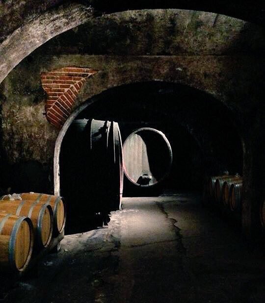 You know what's cool? Well, drinking wine in <a href="/CaveVineyard/">Cave Vineyard</a>'s cave or touring <a href="/StoneHillWinery/">Stone Hill Winery</a>'s cellars. Be cool! #heatadvisory #stlwx