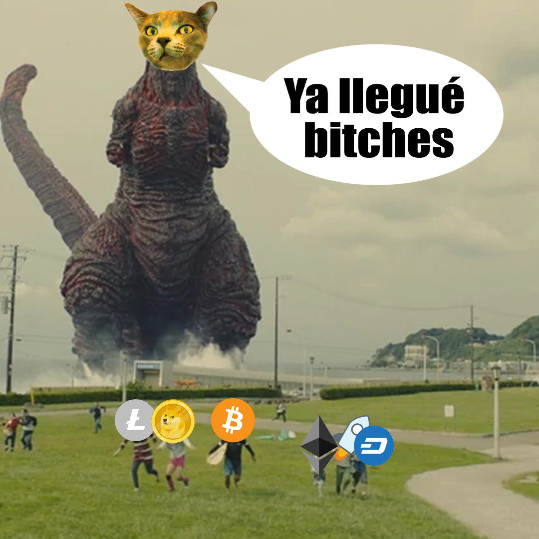 OhMyCoinNet's tweet photo. ¡Corred criptobitches! Ohmycoin ha llegado para quedarse https://t.co/4EQCU2VNSK