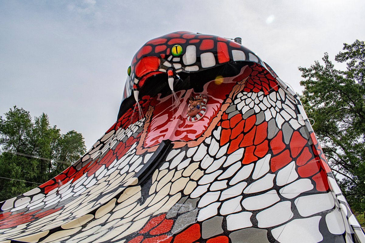 Noah S Ark Waterpark The Reign Of Raja The World S Largest King Cobra Has Begun Americaslargestwaterpark Raja Wisconsindells Noah S Ark Waterpark The Reign Of Raja The World S Largest King Cobra Has Begun Americaslargestwaterpark Raja Wisconsindells