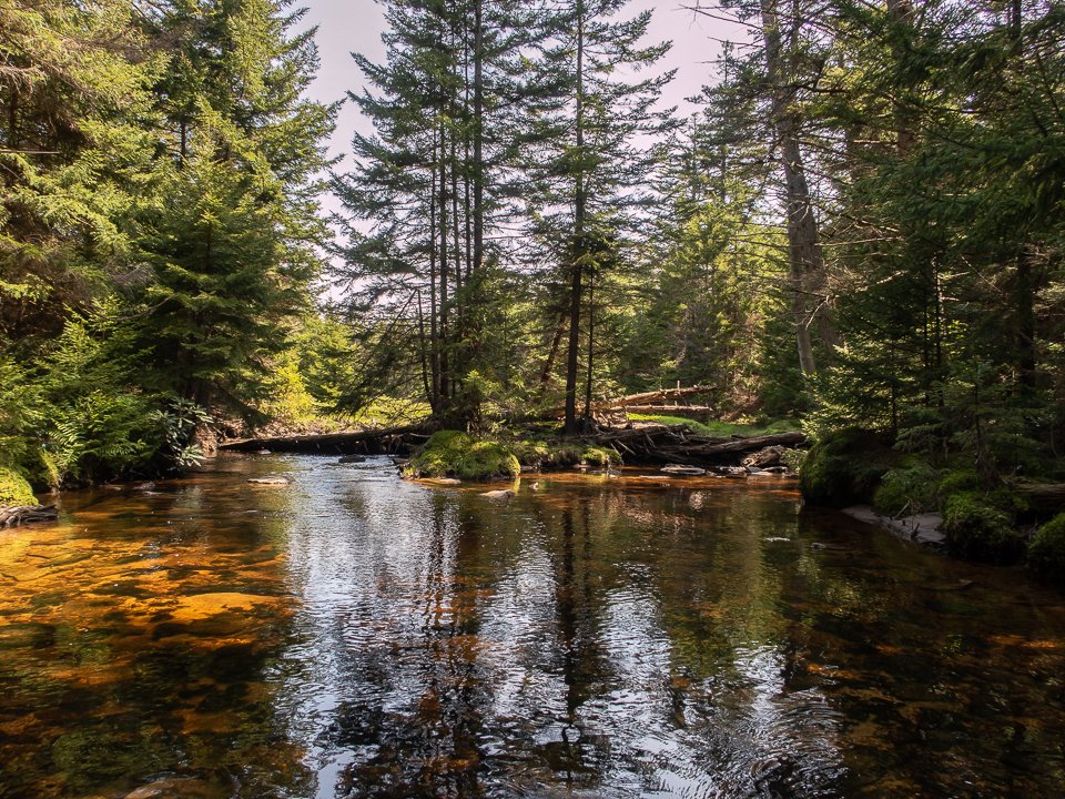 justin_lightcap's tweet image. Just recently got back from a trip to the Dolly Sods. What a incredible place. A trail guide will be coming soon
 -
#dollysods #backpackingadventure #eplore