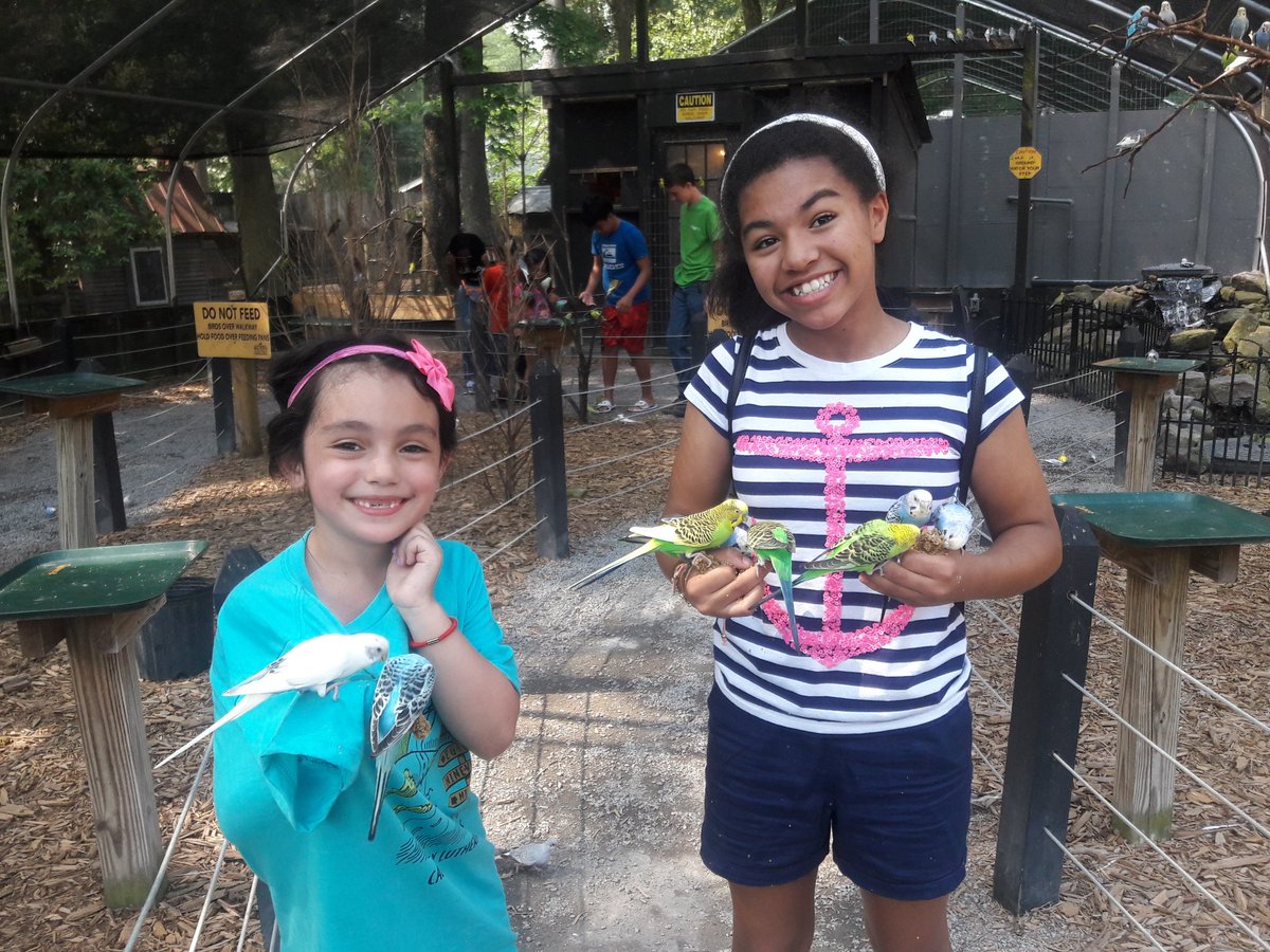 Field tripping with my girls, goddaughter, and my daughter's friend at Bee City. Birds and animals everywhere! 
#feedingtheanimals #animalrescue #beecity