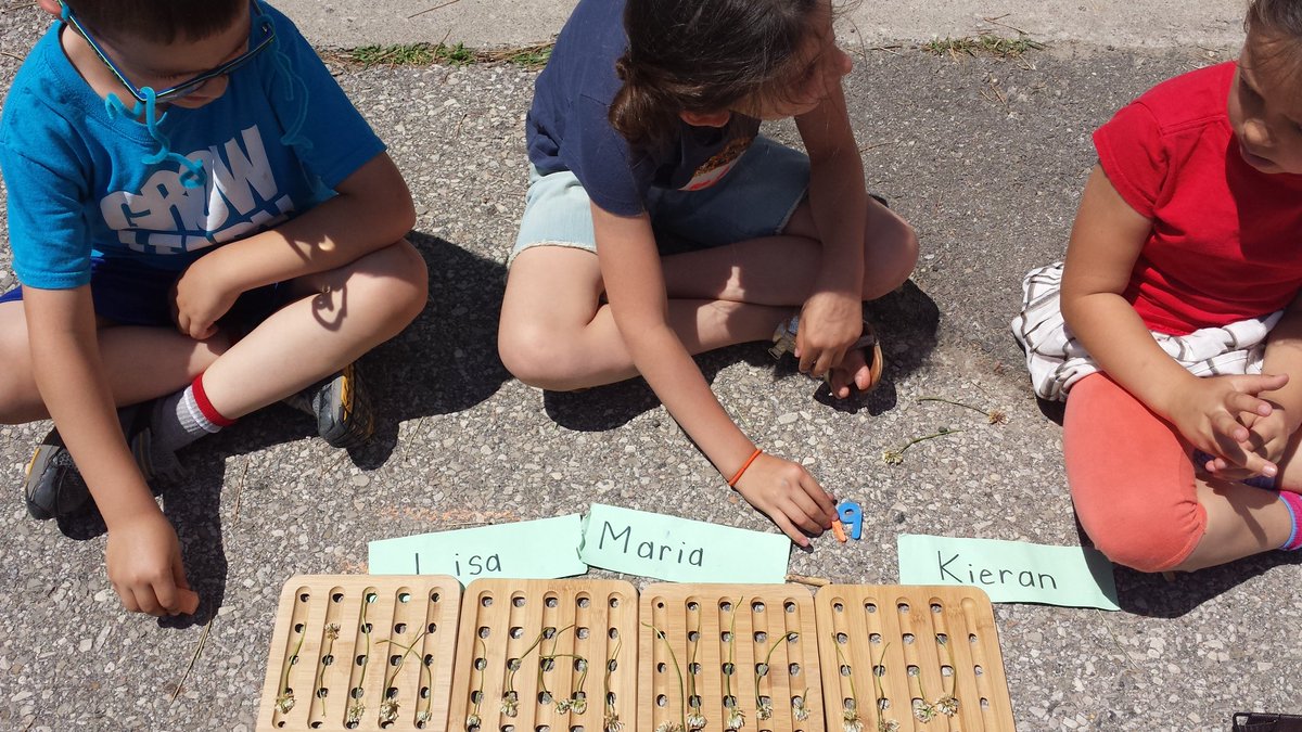 MrsMarinuzzo's tweet photo. Math outdoors today! We've been working on math stories, number equations and larger numbers. Applying all we've learned and using various strategies to count our nature collections. #learninginplay #stsmandmary_dpcdsb #outdoorlearning https://t.co/XWBiF3OaDe