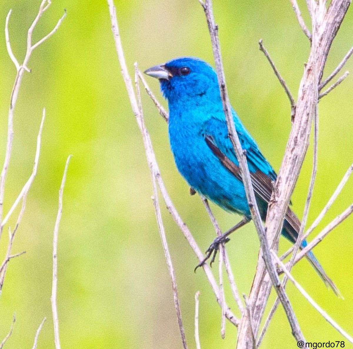 DelawareTourism's tweet photo. Pack your binoculars and camera for a visit to Bombay Hook Wildlife Refuge. You never know what you may see. Learn more at https://t.co/cEekrxA9OQ #visitde https://t.co/V4D5zgiWyw