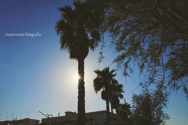 Reposting @micheleinnamorato_ph:
#sunset #sunset_pics #sunset_madness #sunset_vision #sunset_stream #sun #sunsets #sky #sunrise #puglia #igerspuglia #volgopuglia #weareinpuglia #yallerspuglia #pugliamia #pugliaview #pugliagram #italy #ig_puglia #puglia_city #puglialovers