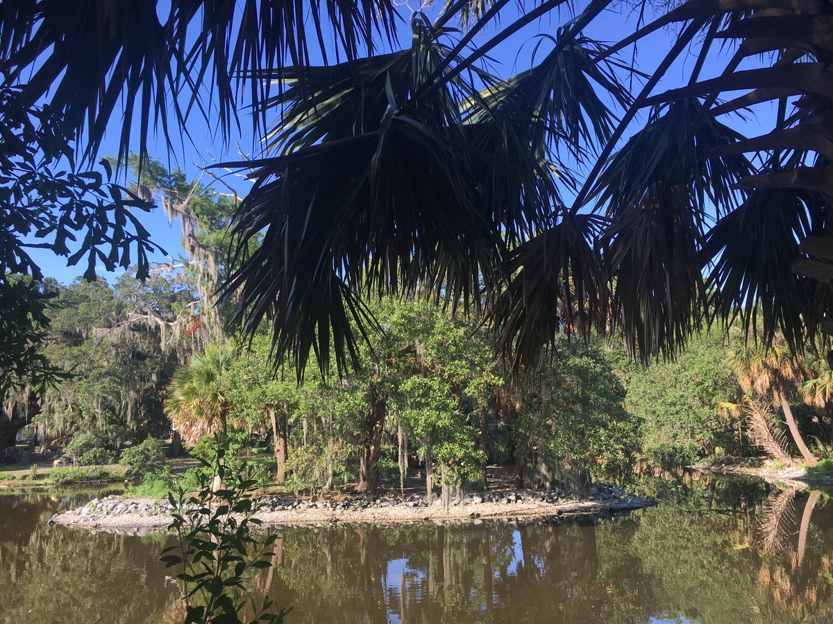 kevinlitten's tweet image. Where is the bad New Orleans weather everyone was talking about #nolaweather