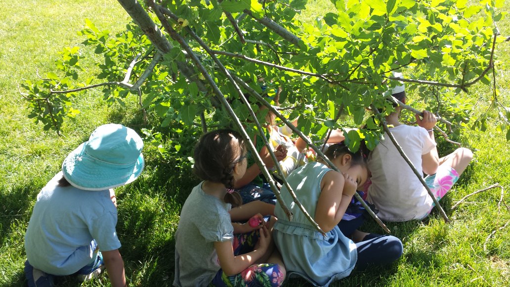 MrsMarinuzzo's tweet photo. Enjoying the outdoors this week! #stsmandmary_dpcdsb #outdoorlearning #learninginplay https://t.co/Fl69ZPzTiw