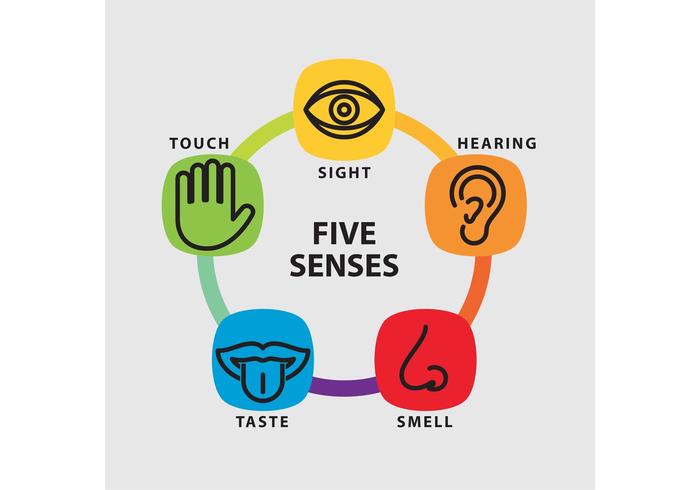 Early bird discount rate is now on for the Scottish Stroke Nurses forum conference in Perth 20th September. Our theme is 'the 5 senses' it will be a high interactive day. Please join us 🤗🤗🤗🤗 chssi.org.uk/ssnf18reg