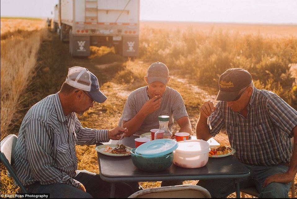 фермеры сша. фермер в америке. фермер реднек. фермеры техаса. фермер в америке.