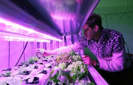 RSMLab's tweet photo. #EXPÉRIMENTATION  via #RSMLab @laboitevegetale le concept de ferme urbaine vient d'installer un de ces 1ers modules @SaintMaloAgglo . Le chef Pascal Raffray là pour exprimer tous les intérêts d'un tel projet. 13m2 et jusqu'à 15000 plantes 100% locales #foodtech #agtech #startup https://t.co/ilMToYOqNE