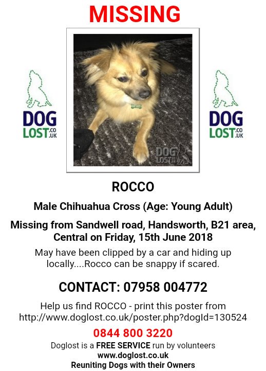 MissingPetsGB's tweet photo. ๐ถ Still #MISSING 15/6/18:
๐ฅROCCO
He may have been clipped by car at the time โ
Male Chihuahua X
Sandwell Rd,ย
#Handsworth,ย
#Birmingham,
#B21
Adult.
Tan.
Snappy if Scared
Please call โ 07958 004772 if any sign of him!
https://t.co/vAAEgGaUEE https://t.co/1W8Jqnl06I