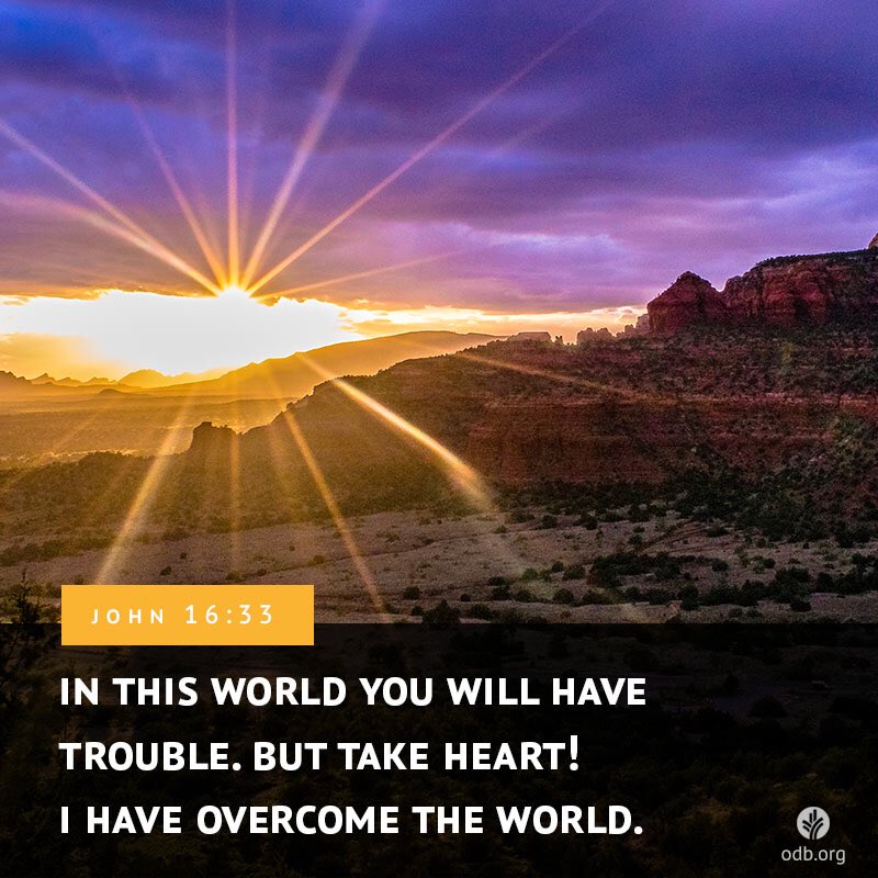 Cyndereller☦️🇺🇸 tweet media