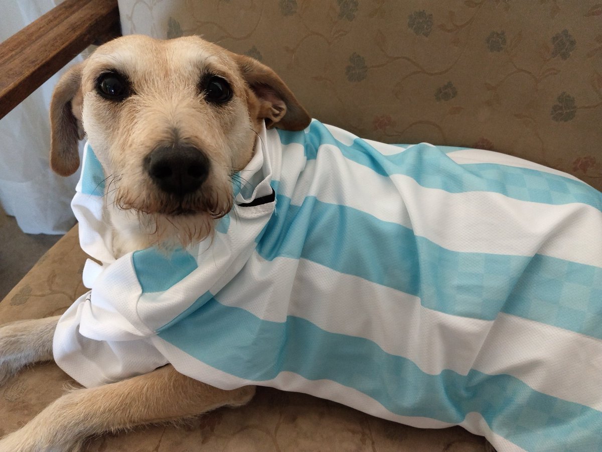 glacapde's tweet photo. Bancando los #trapos mientras @glacapde y @alanizfacu ven el partido!
Vamos hinchas #perrunos hay que "torear" a los Vikingos!๐๐ฉ๐ถ๐บ๐พ
#VamosArgentina #nervios #mundialRusia #faltaicardi
#ponganhuevos #soccer #football #argentina๐ฆ๐ท #Rusia2018 #ARG #Mascotas #Camicam https://t.co/vZwqFYcK50