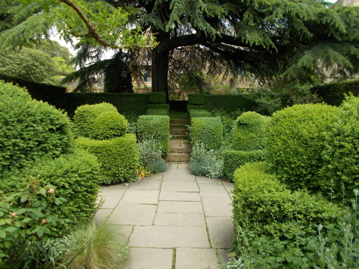 We can get obsessed with flowers, and filling our gardens with them, but all you really need sometimes is loads of green! #tranquil #gardens #Hidcote