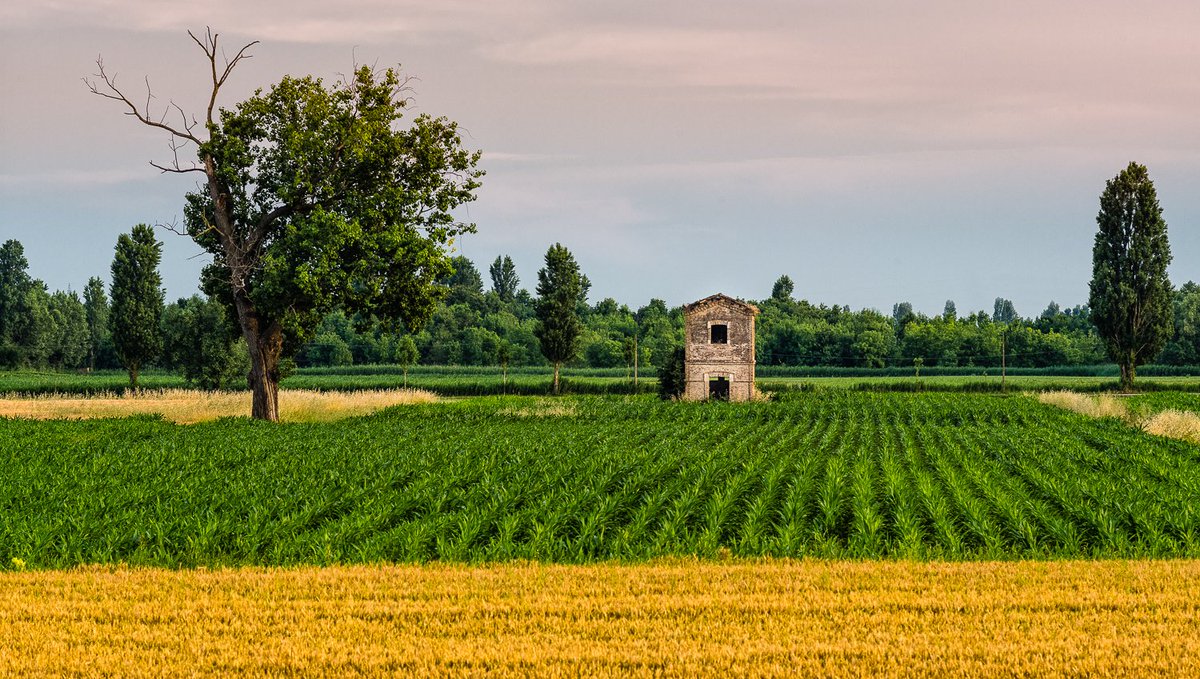 ContrattoCOSTA's tweet photo. 📢 Vi invitiamo al 5° ed ultimo Tavolo Tematico “Costa Veneta e #Agricoltura”!🌾👩‍🌾🚜👨‍🌾💧📍Ci vediamo il 21 Giugno, ore 15, al Centro Sperimentale Ortofloricolo “Po di Tramontana” in via Moceniga 7, #Rosolina (RO). 👉 VI ASPETTIAMO!!🤗
#partecipiAMOlaCOSTAVENETA
#CdCOSTA https://t.co/DG0sjo3UQ4