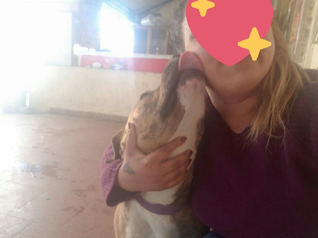 Yine seven öpen okşayan casmin