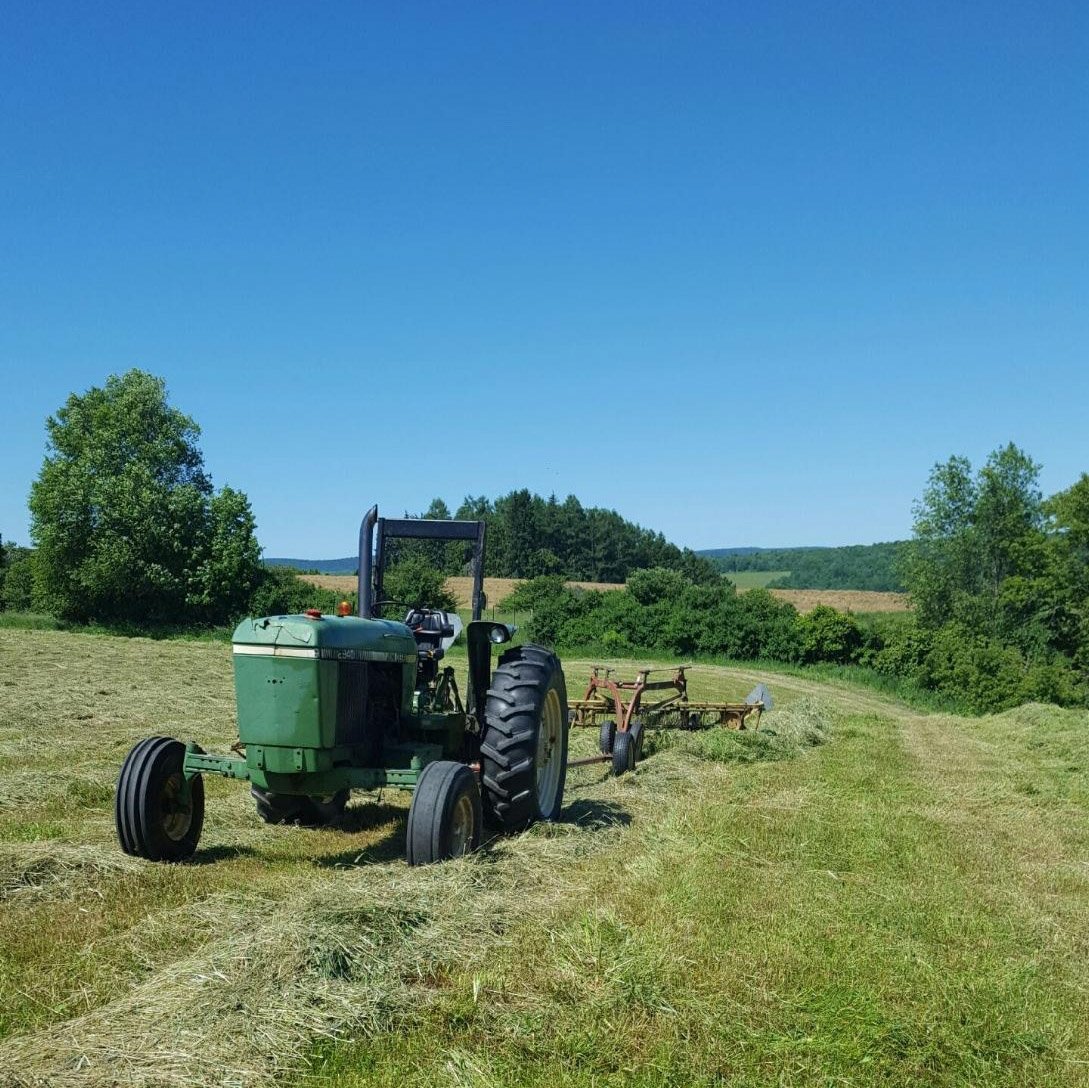 SunFedBeefNYC's tweet photo. Up in Earlville, we're in the throes of haymaking. Get ready for some #greencontent in the coming weeks. There is no #grassfedbeef without sustainable pasture management. Beef Farmers are #GrassFarmers @DowntoEarthMkts @simallgreenmarket @Tribecagreenmarket https://t.co/usJEeo7S4T