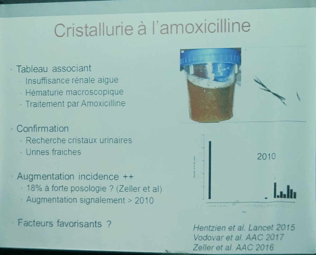 guilbon's tweet photo. #WECCFGRRC « Face à un antibiotique comme l’Amox qui nous semble sans effet secondaire, il faut penser à la cristallurie à l amoxicilline. Augmentation des déclarations a la pharmacovigilance depuis 2010 ! » L. Coutte #translationnel https://t.co/gqTaulntWf