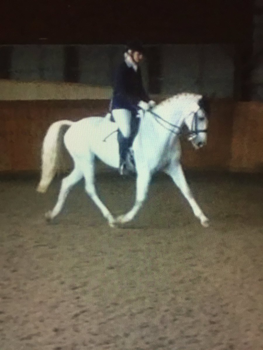 rsteljes's tweet photo. A win for Uno today makes it 5 wins from 5 shows and qualifications for Regionals &amp; Area Festivals! #winner https://t.co/rQGMggoyVN
