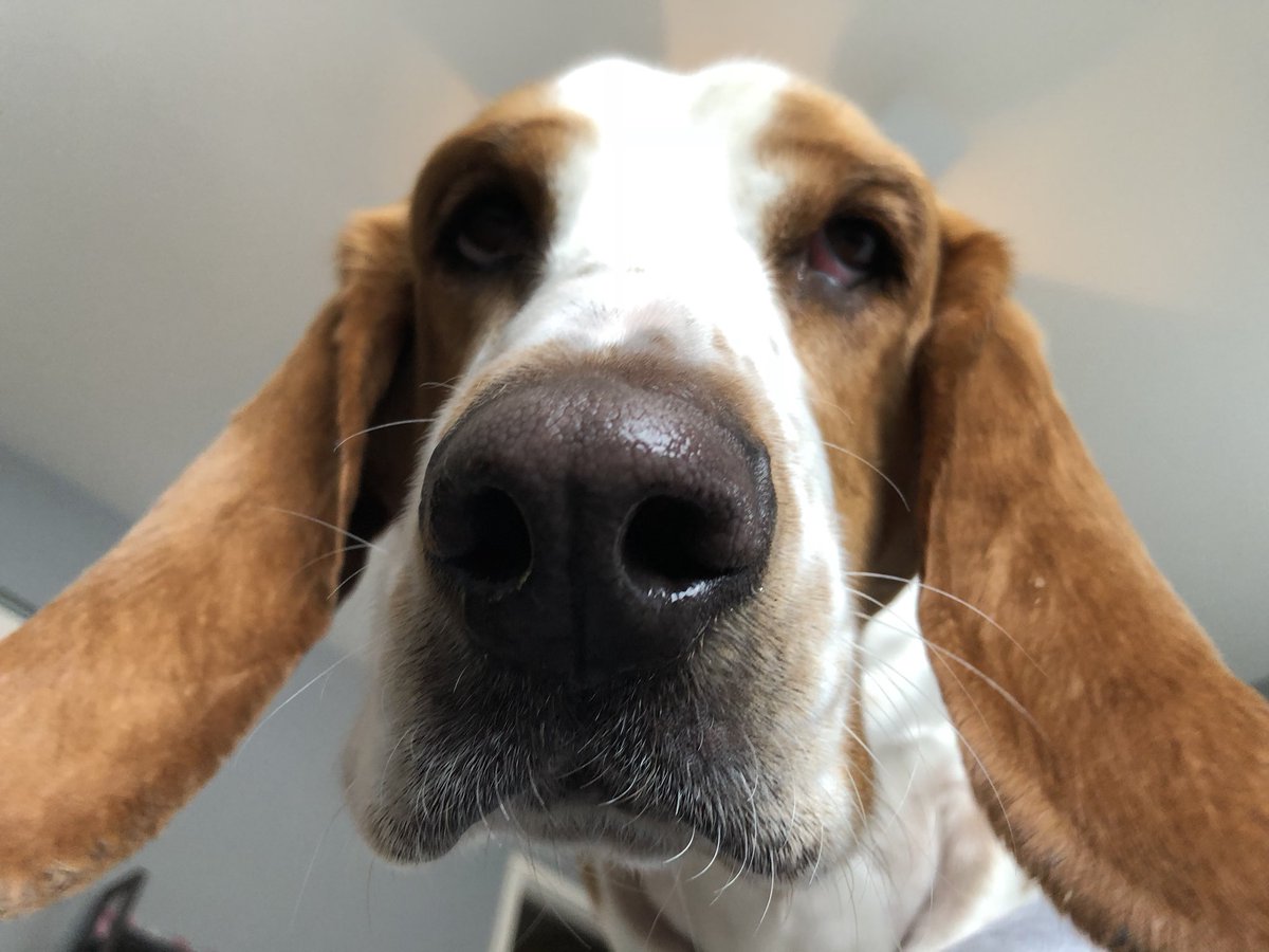 PolokeH's tweet photo. So this is what it feels like to look down on someone. https://t.co/Unpd33dUtM