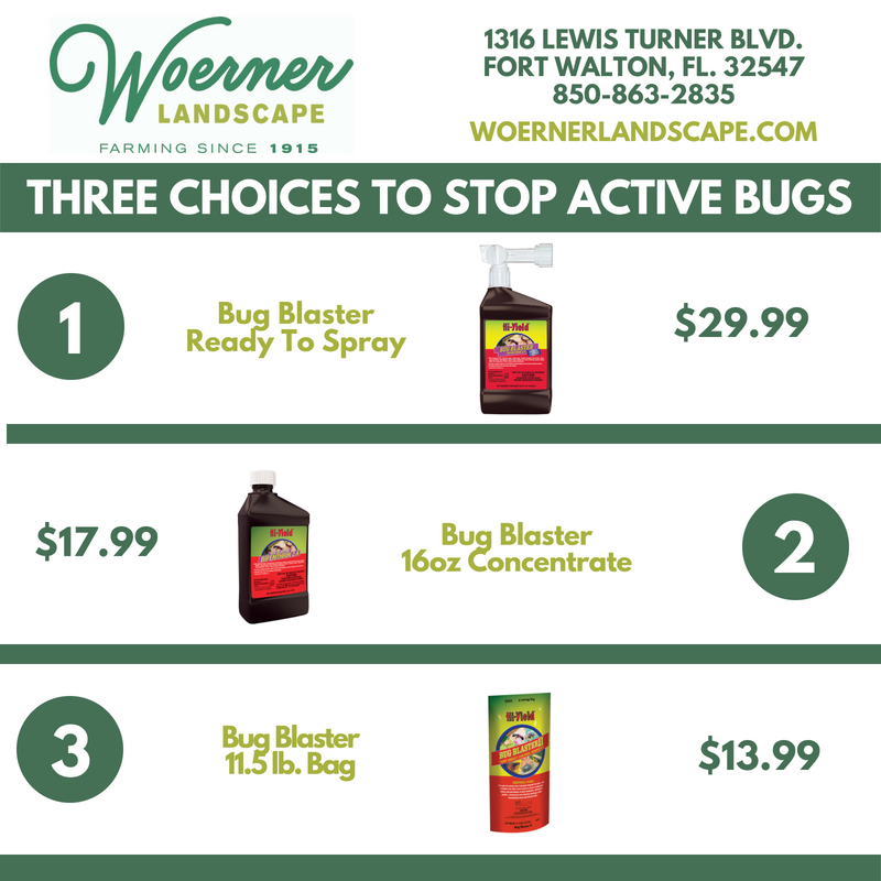 WoernerFTWalton's tweet photo. Are active #bugs bugging you this season? #Woerner #Landscape has 3 ways to take care of the problem! #BugBlaster controls #fireants, #fleas, #ticks, #caterpillars, #europeancraneflies, #scorpions, #sodwebworm, #chinchbugs, #molecrickets and other #insects https://t.co/Q92kMZ0JVk