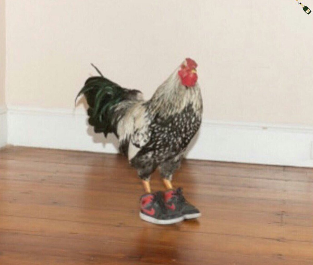 Why can't boys like this go to my school 😩😩