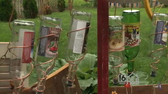 Wnep On Twitter Wine Bottle Hummingbird Feeder Https T Co