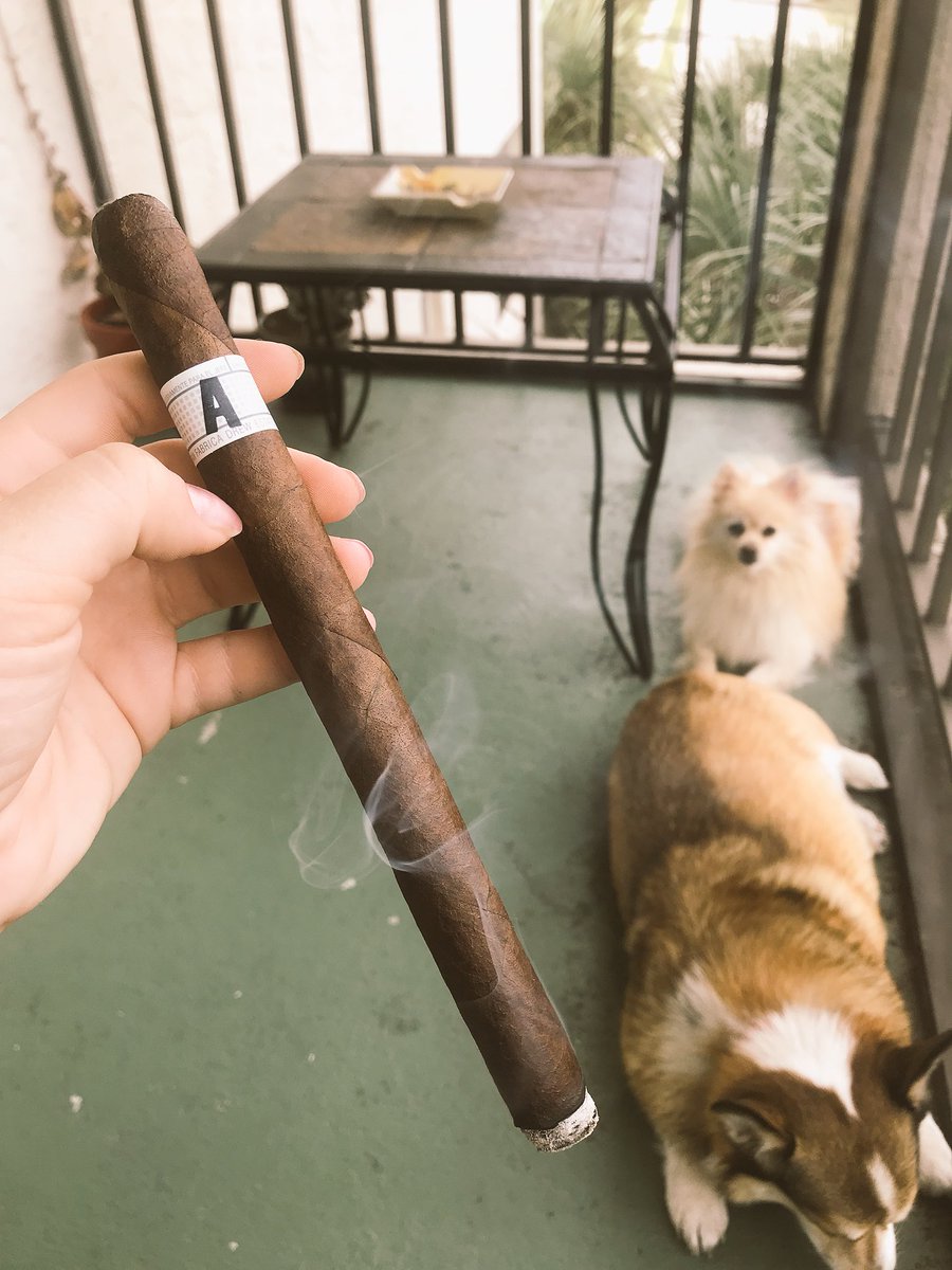 ABCCigarMak's tweet photo. Can we go all in on a new #trend? #TGIS!! #SaturdayMorning is the best when it’s an #EarlyMorningSmoke. #Cheers #AlwaysBeCelebrating https://t.co/KTtpz8vNzZ