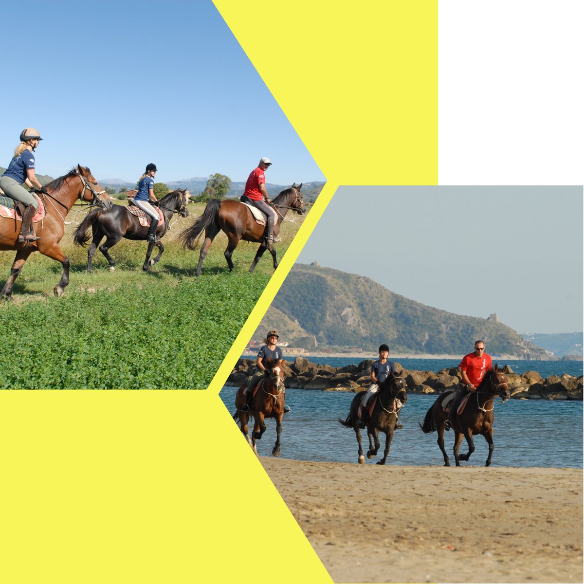 IMoresani's tweet photo. Special #Offer - #Riding #Holiday in South #Italy October 6th-13th 2018
A week in the #Italian #countryside, 5 full days' riding with pic-nic lunch, tasty #food, a friendly atmosphere and 10% off. What else?
Contact: imoresani@hotmail.com
#horseback #horselovers #horse #vacation https://t.co/8iRt25AtxA