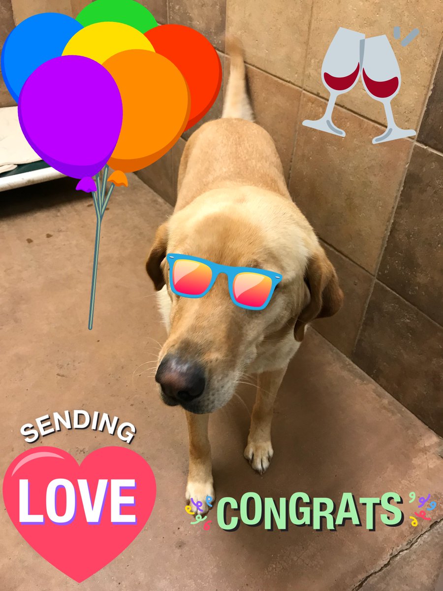 Framingham Petsmart tweet media