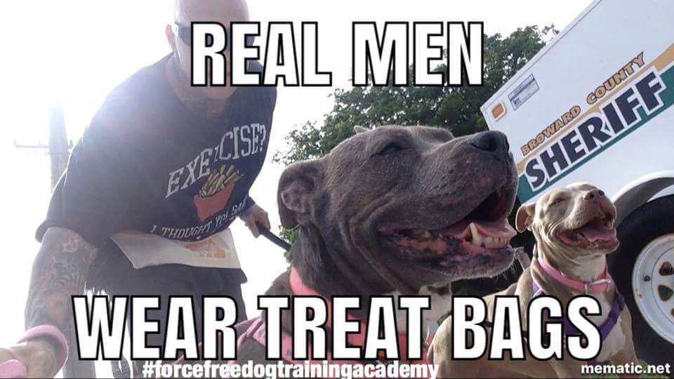 AdamAnEveTheDog's tweet photo. #train4rewards #ForceFree #dogtraining #ClickAndTreat #FearFree #NoForceNoFearNoPain https://t.co/5Su8FWy0xb