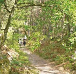 VilledeFbleau's tweet photo. Samedi 23/6 de 16h30 à 18h, les chorales, les trompes de chasse, les classes de cuivres & de tambour napoléonien du conservatoire de musique vous proposent une promenade en musique en #forêt de #Fbleau
RDV à 16h15 - carrefour de la Butte à Gay
(Gratuit)
#Culture #ProjetCulturel https://t.co/I6nmP5UqfP