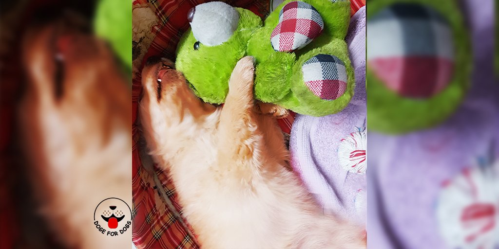 the_jerry's tweet photo. WAKE ME UP WHEN THE MARKET DOES!
#money #today #market #dogefordogs #blockhedge2018bahrain #blockhedge2018bangkok #blockchain #blockhedge #cryptocommunity #bitcoin #blockchainevents #cryptocurrency #cryptoevents #ethereum #BTC #cryptocurrencynews #cryptonews #bitcoinprice https://t.co/y2GTCYcbuE