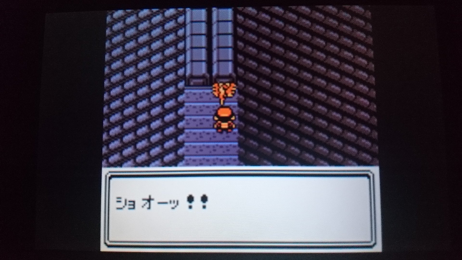 センジ ショオーッ ポケモン金銀 T Co 7nunbaybvl Twitter