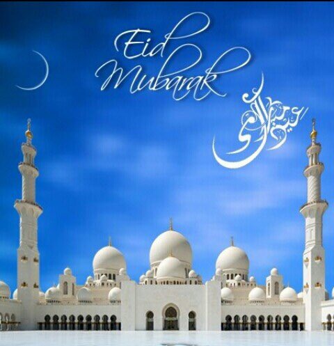 tanmay a vekaria (@tanmay1305) on Twitter photo 