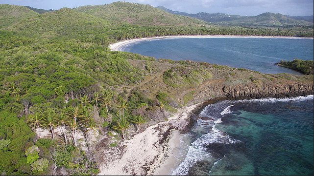 N°1: La randonné de la Trace des Caps. Vous allez passer par le Cap Macabou, Cap Macré, Cap Chevalier et ainsi voir les plus belles plages de la côte Atlantique de la  #Martinique