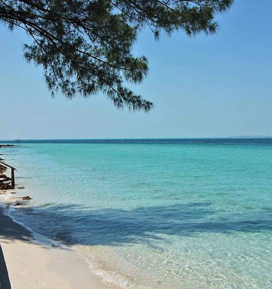 Good Morning! Who's ready for a #BeachDay? #BradentonArea #AnnaMariaIsland #MyAnnaMaria