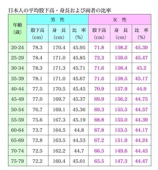 股下比率計算機 股下からくるぶしまでの長さを日本人の平均と比較 Zozoの股下の長さから判定 Nujonoa Blog