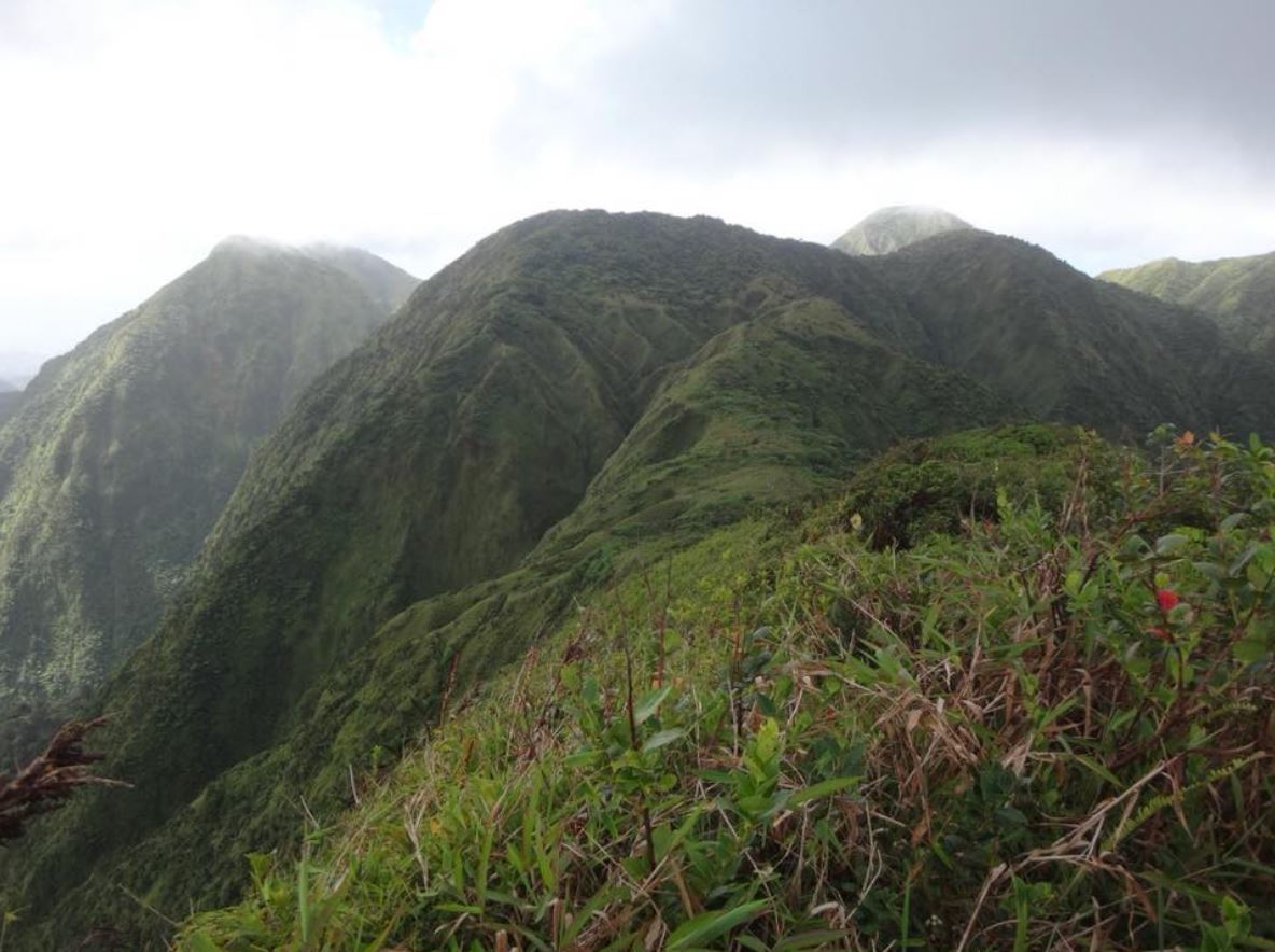 N°5: L'ascension des Pitons du Carbet. Par contre la rando est très difficile, même plus que celle de la Montagne Pelée