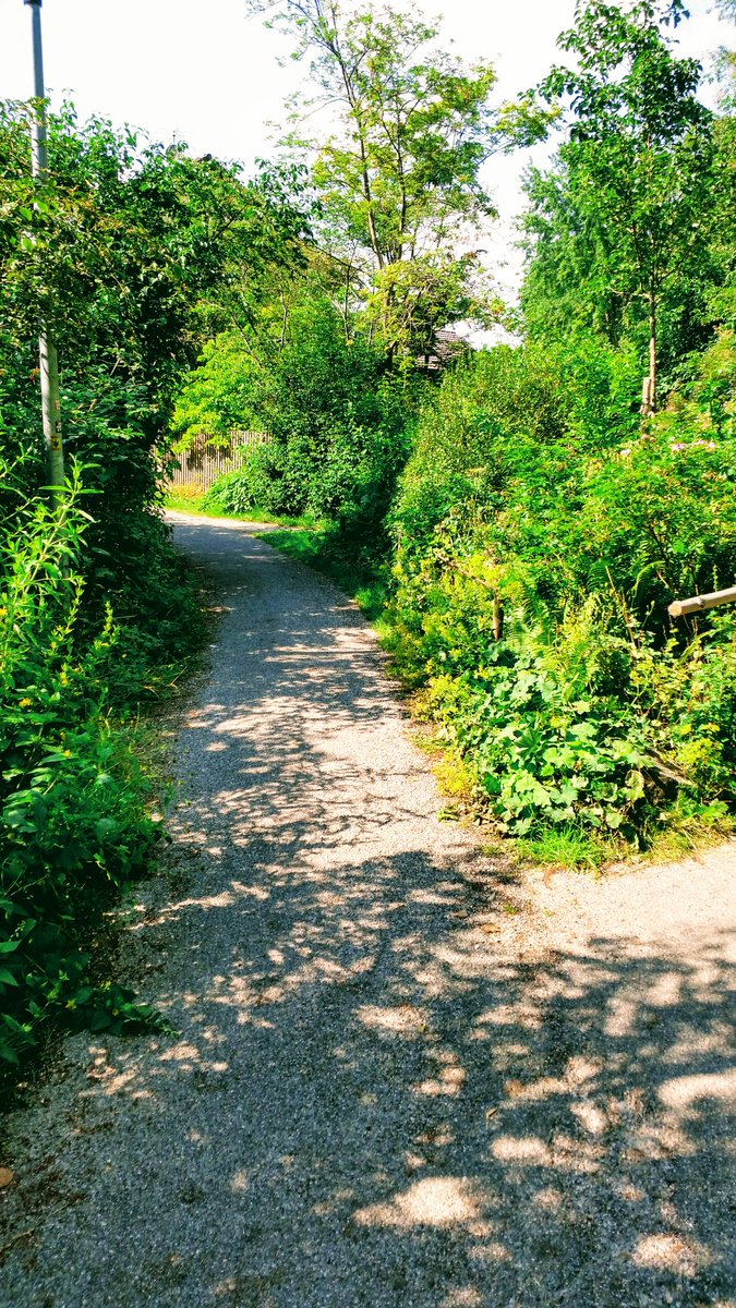 Tolles Wetter. Jetzt dann noch Grillen bevor es los geht mit dem Stream heute Abend.