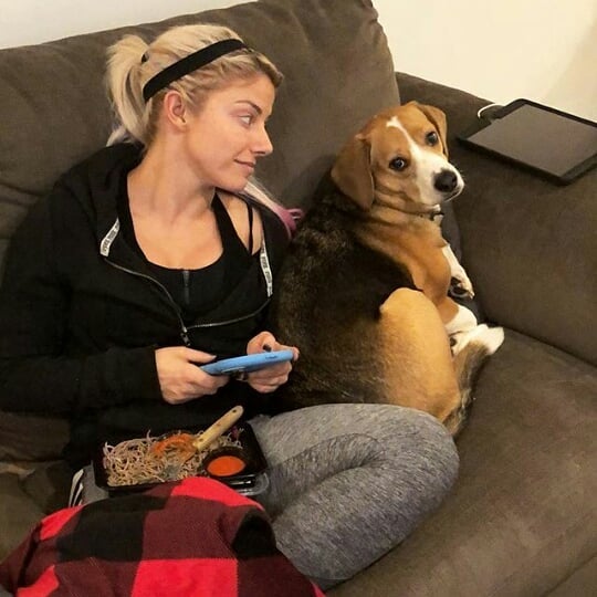 -нαяℓεү qυιηη- (@drofarkham) on Twitter photo 