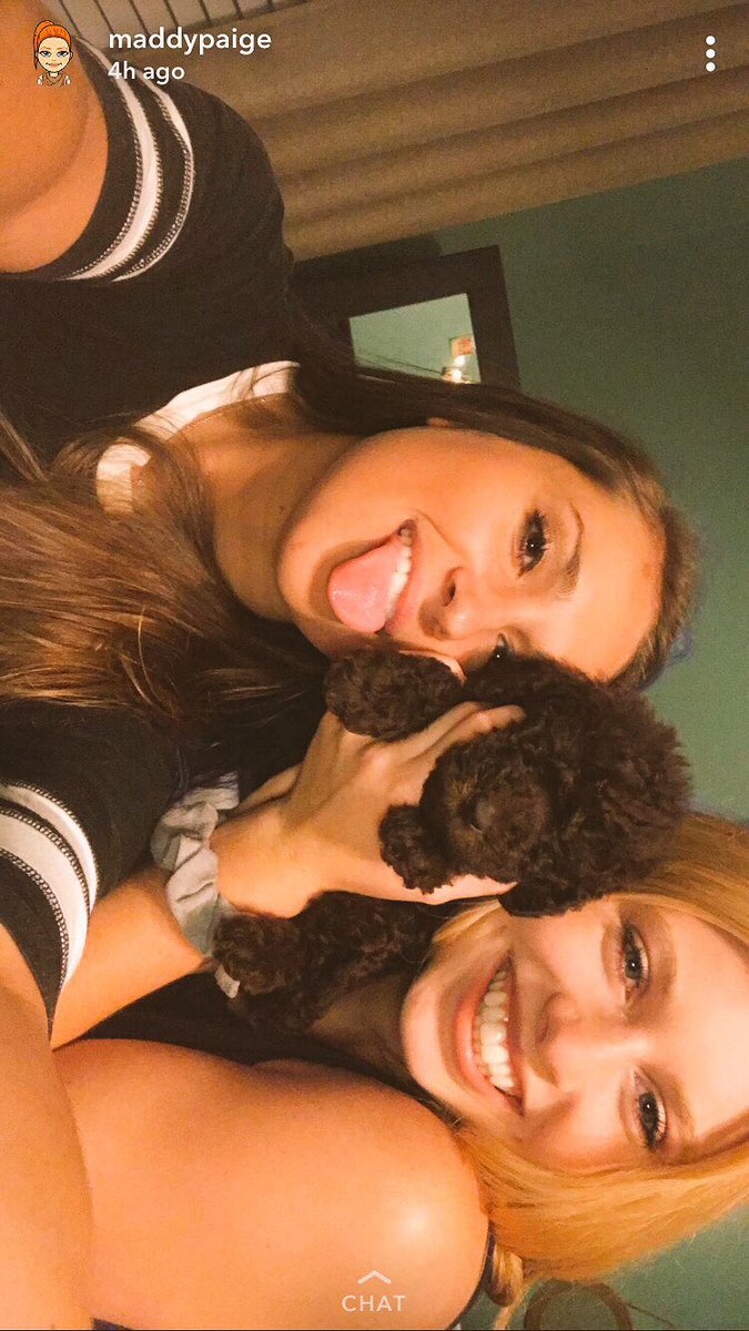 hannnaheevans's tweet photo. Sweetest lil thing ever 😍🐶 https://t.co/Qr3hOpUjKA